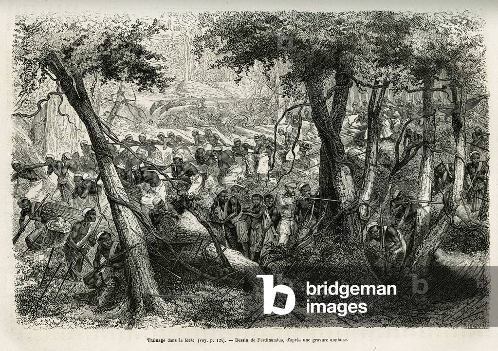Tragging the canoes of the expedition in the forest, drawing by A.Ferdinandus, to illustrate the story “Through the mysterious continent””, a voyage made between 1874-1877, by Sir H.M. Stanley. Engraving in Le tour du monde, 1878, directed by Edouard Charton, Paris. Selva Collection.