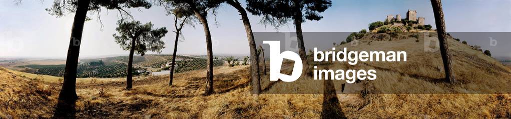 Pines in front of the castle of Almodovar. Panoramic 360 degrees by Leonard de Selva, Spain, 2004.