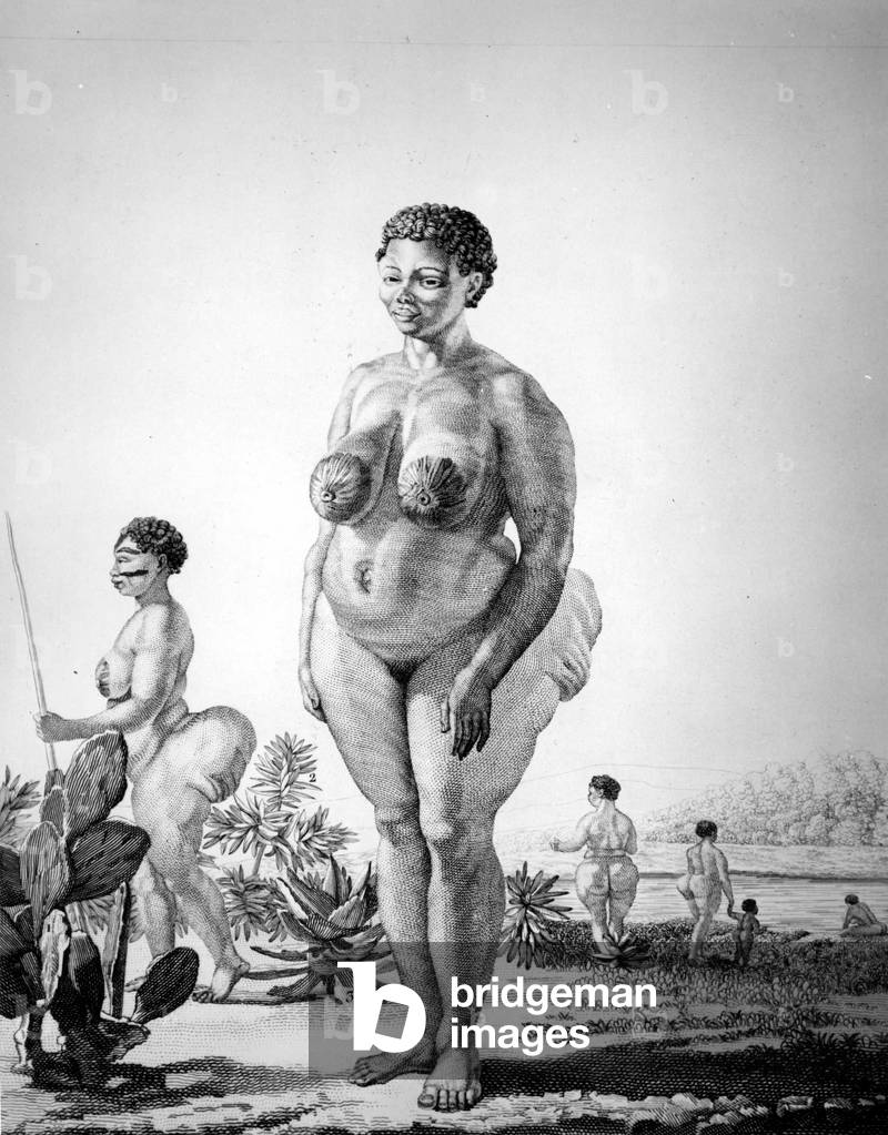 Venus Hottentote of South Africa, 1815 - engraving, 19th century