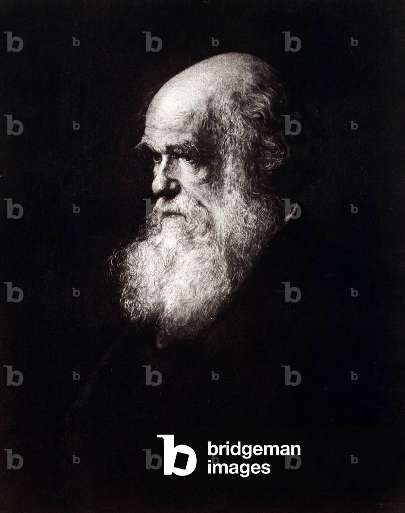 Portrait of Charles Robert Darwin (1809 - 1882)