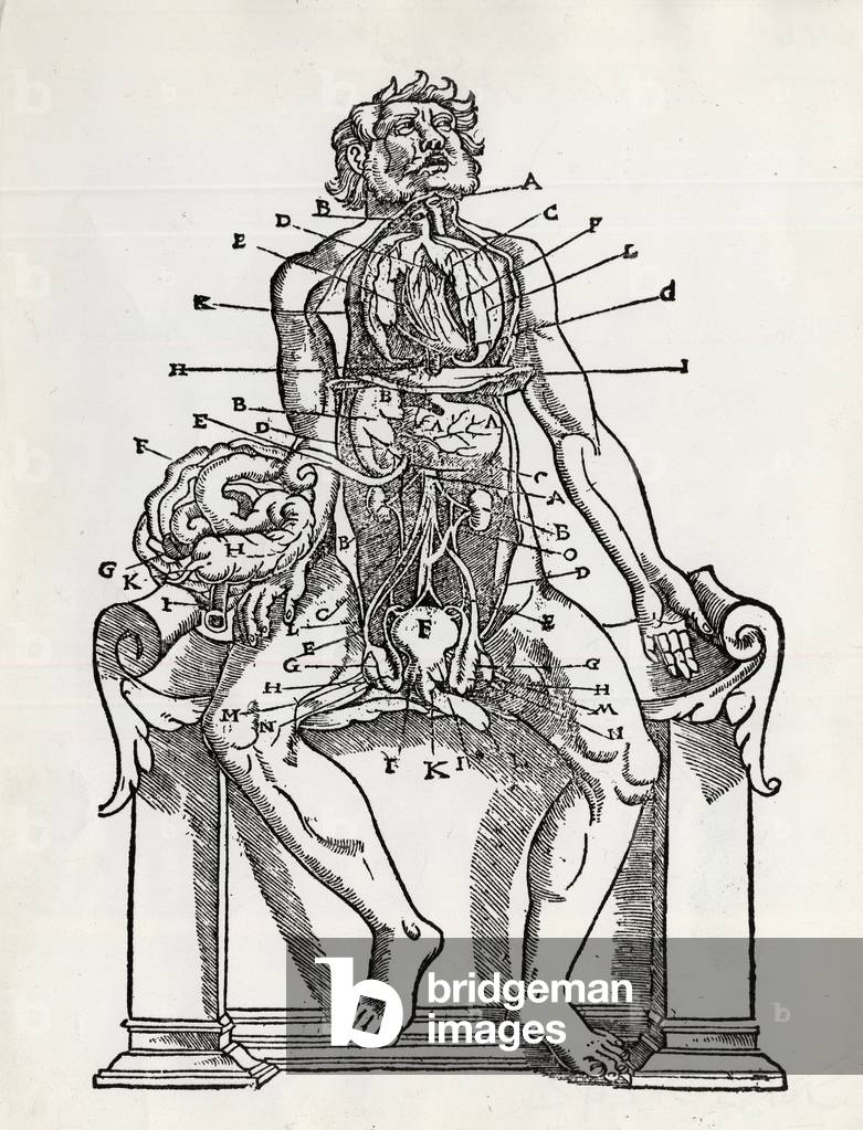Anatomical board and medical lesson - in “” Pantagruel”” by François Rabelais.