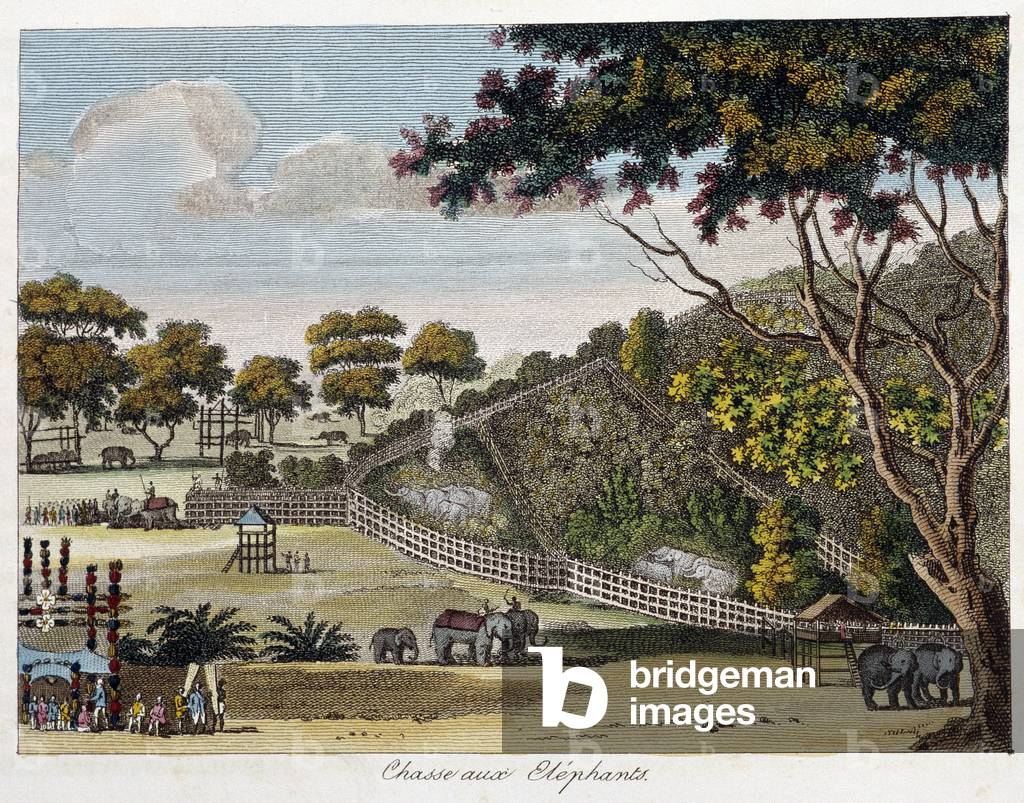 Elephant hunting - “” Le Monde en prints ou Géographie des cinq parts du monde”” by the Chevalier de Roujoux, 1828