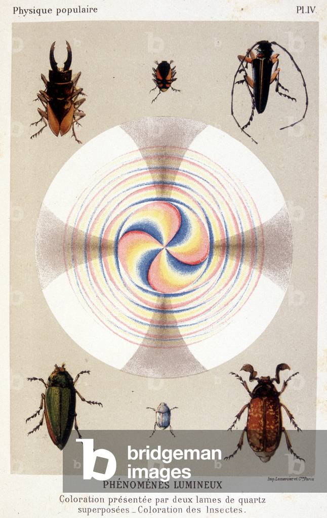 Colouring presented by two superimposed quartz blades, coloring insects - in “” La physique populaire”” by Emile Desbeaux, 1891