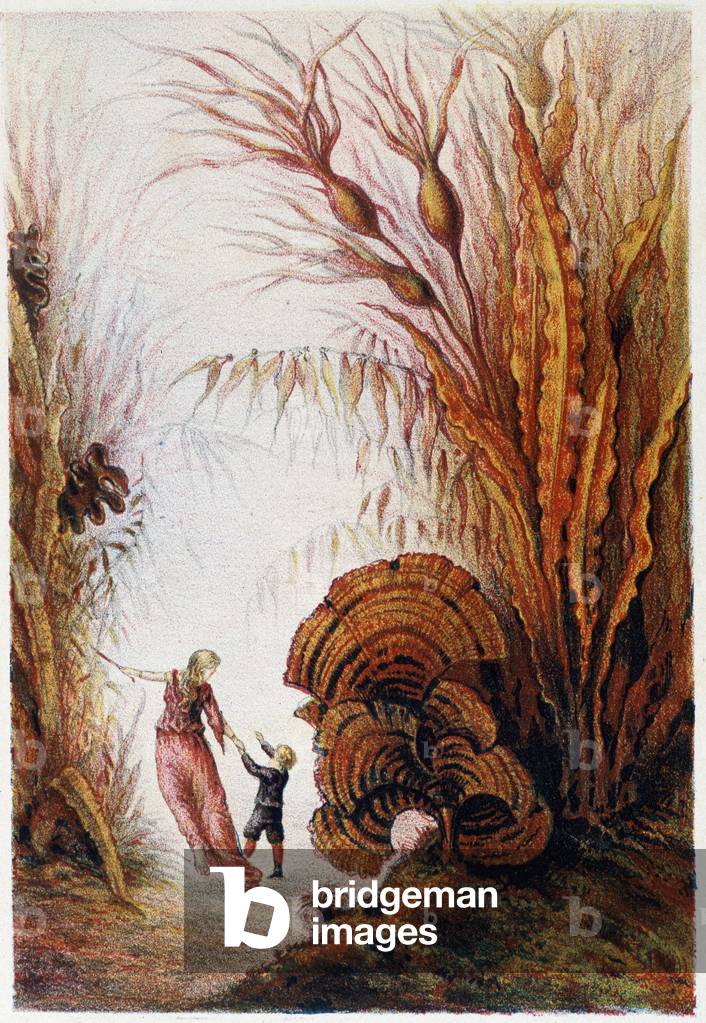 A woman and a boy walking through the underwater world - in “” Journey to the bottom of the sea”” by H. de la Blanchère. Paris, ed. Jouvet et Cie, sd. 1880.