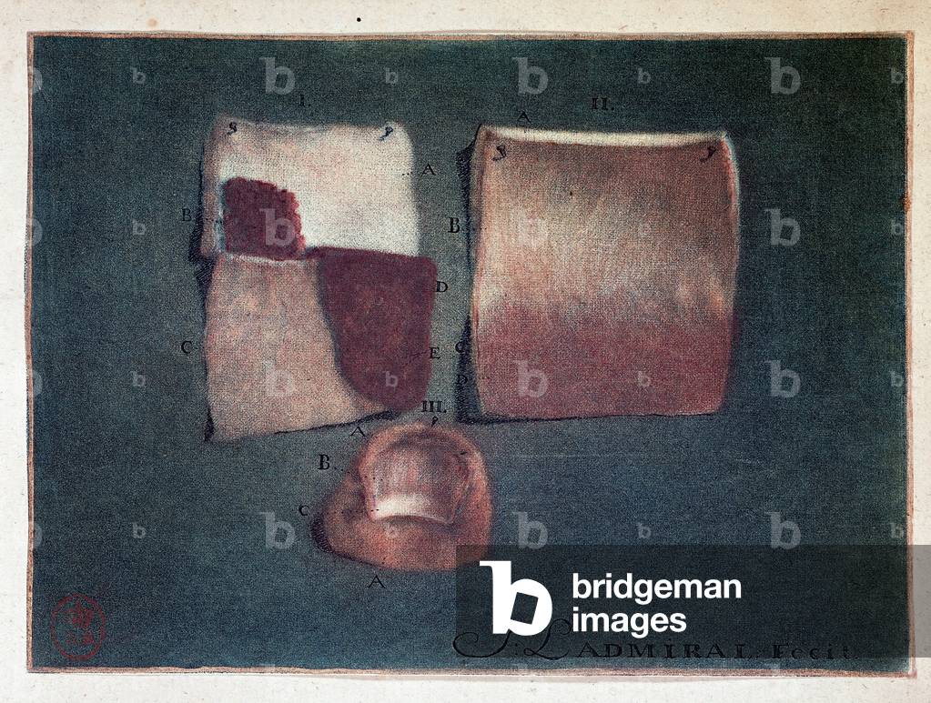 Different colors of skin, Ladmiral, 1737, B.N.