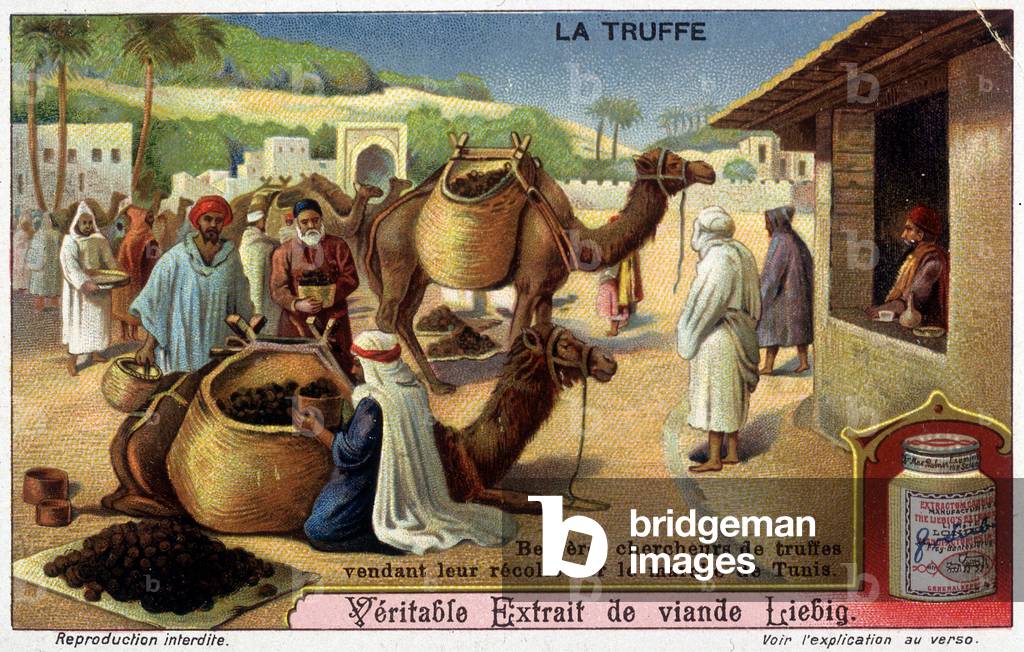 The truffle: Berbers selling their truffle harvest on the market of Tunis - chromo Liébig.