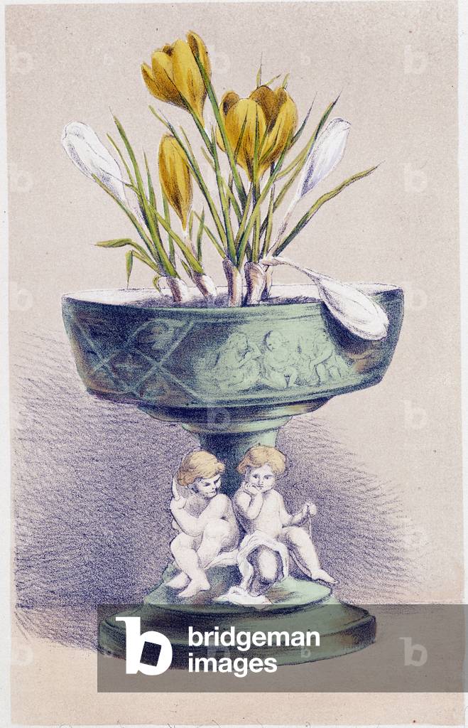 The Four Seasons: Spring, Daffodils, 1871