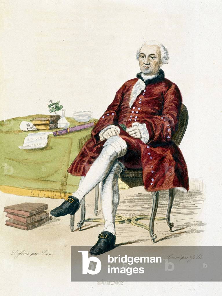 Portrait of Georges Louis Leclerc, Count of Buffon (1707 - 1788), naturalist and French writer. - in “” Le Plutarque francais””, Ed. Mennechet, 1844-1847