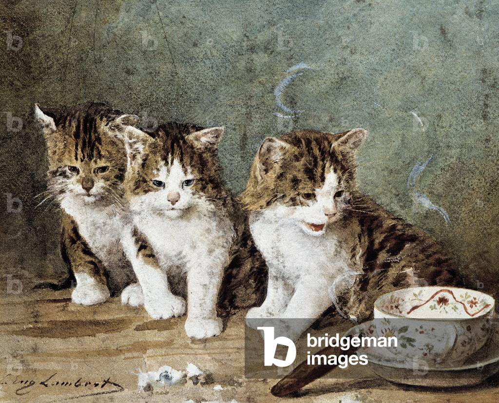 Chatons - dessin par Lambert, XIXème siècle