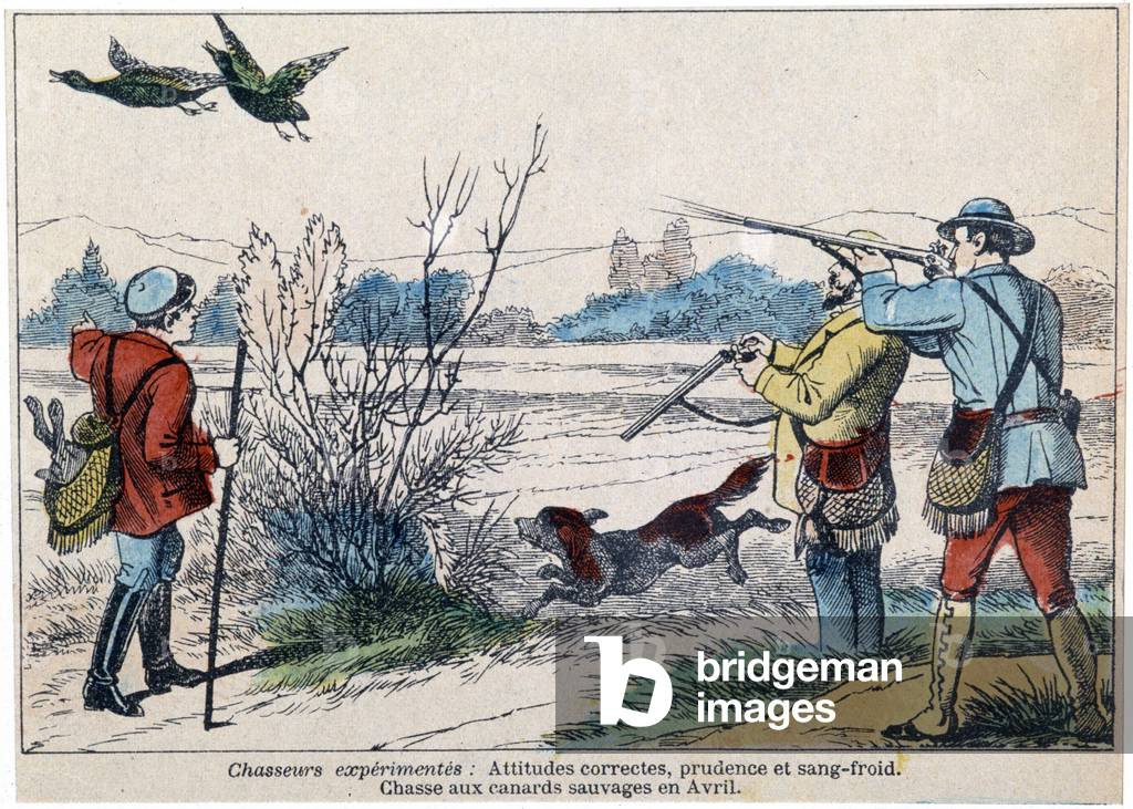 Hunting wild ducks in April, 19th century (Epinal print)