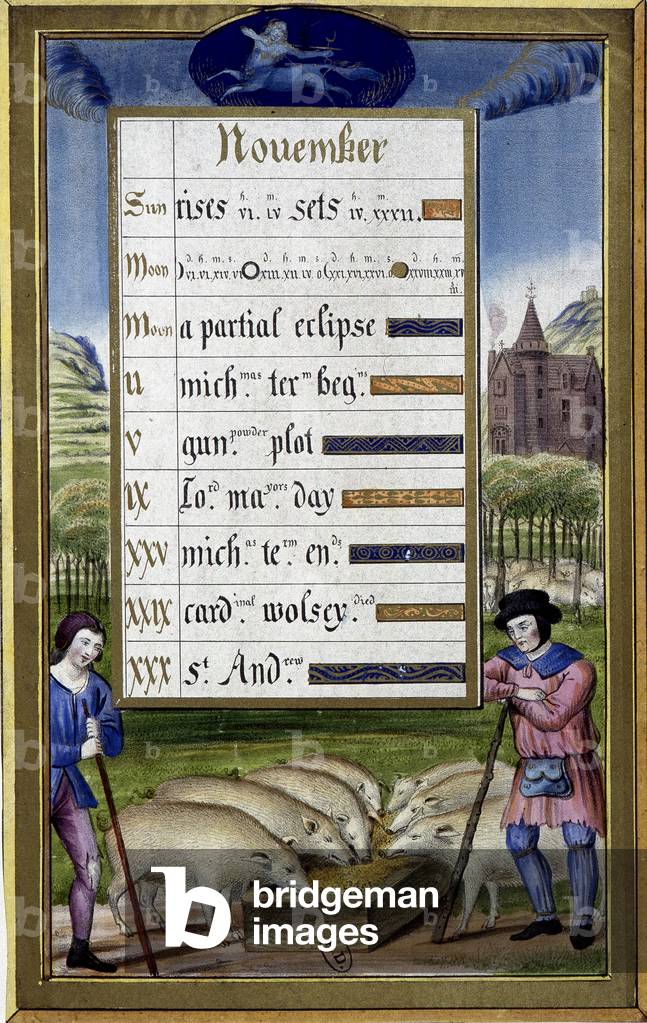 November and sign of sagittarius: pig breeding - facsimile of the Hours of Anne de Bretagne, by Jean Bourdichon, 15th century
