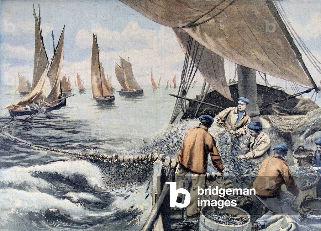 Sardine fishing on the coast of Brittany - in 