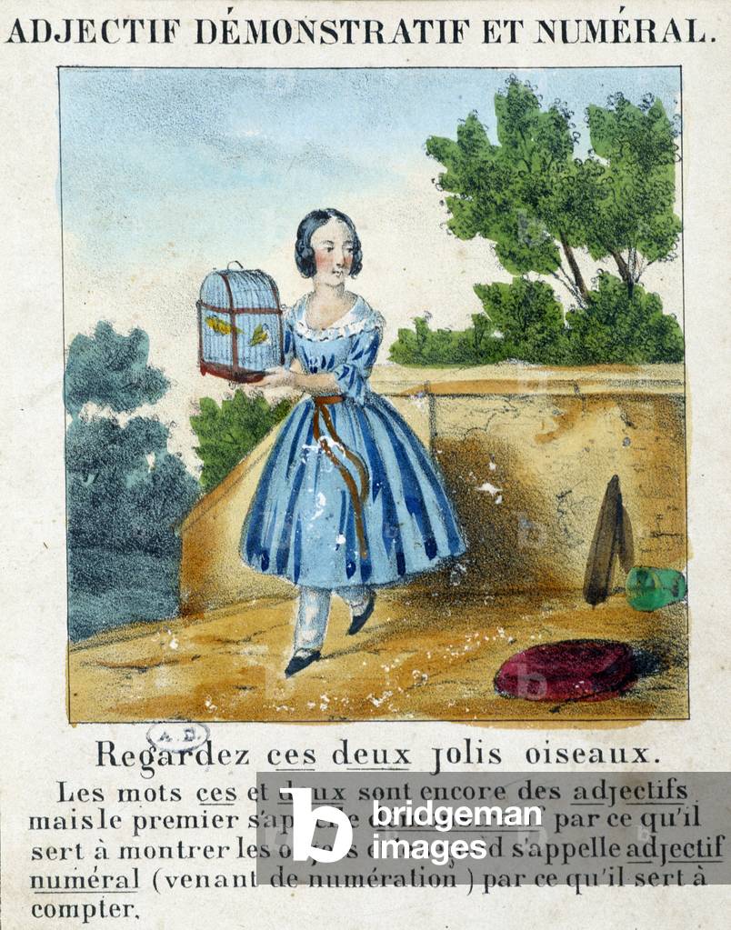 Demonstrative and numerical adjective (a girl carrying a cage with 2 birds) - in “” La grammaire en images””, 1850