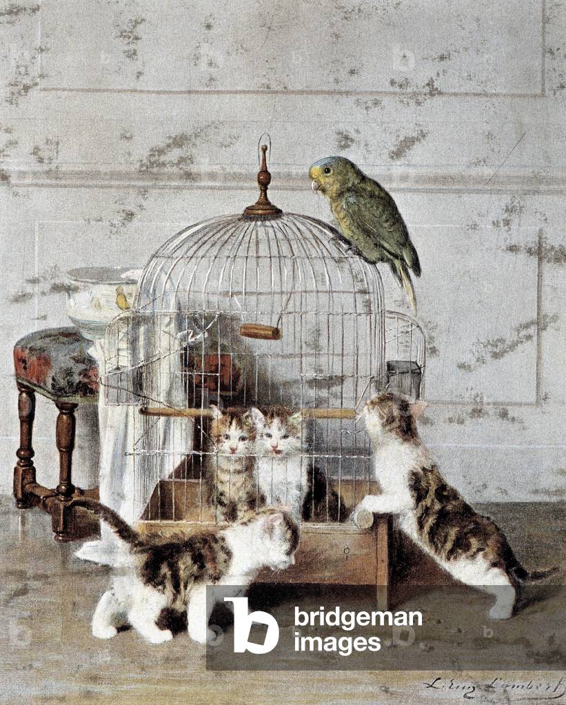 Kittens play in the cage of a parakeet - by Lambert, 19th century