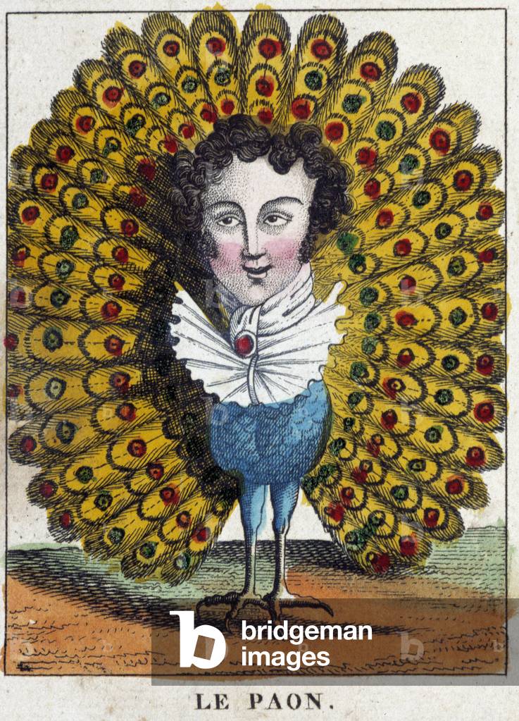 The peacock in Caricature, study of character “volatile character” sd. 19th, popular imagery.