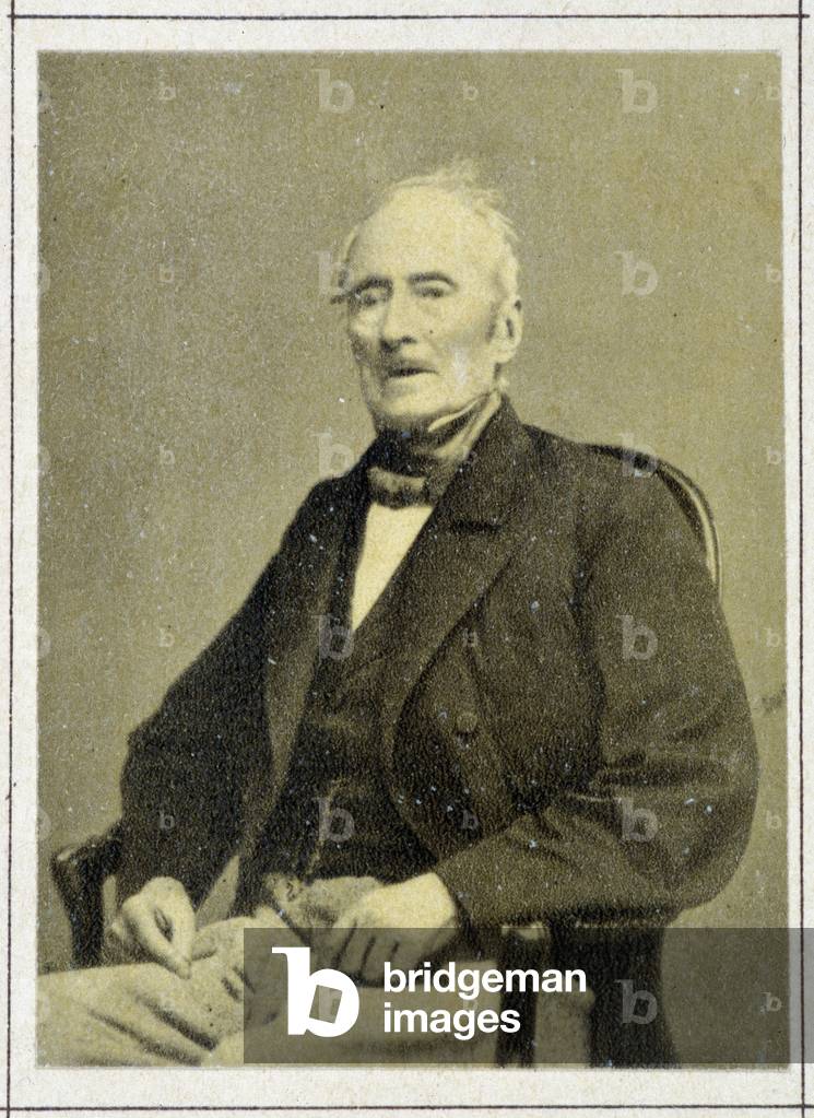 Portrait of Alphonse de Lamartine (1790 - 1869) in 1867