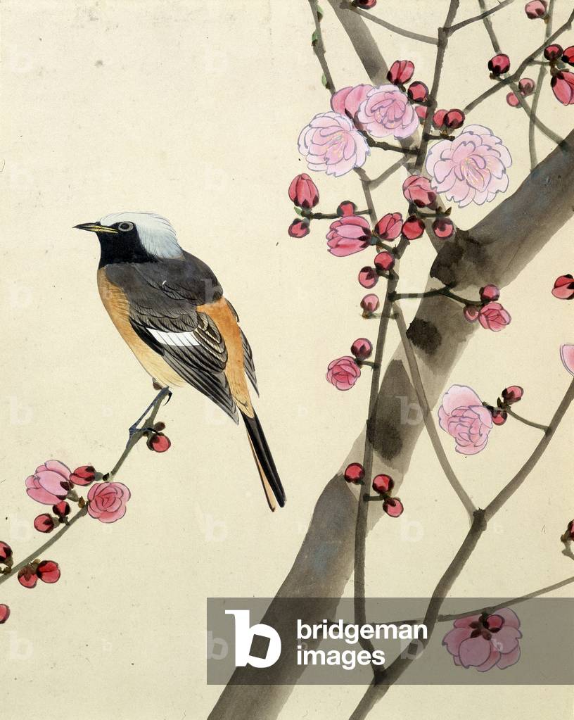 Bird - Japanese drawing by Riou Chim, late 19th century