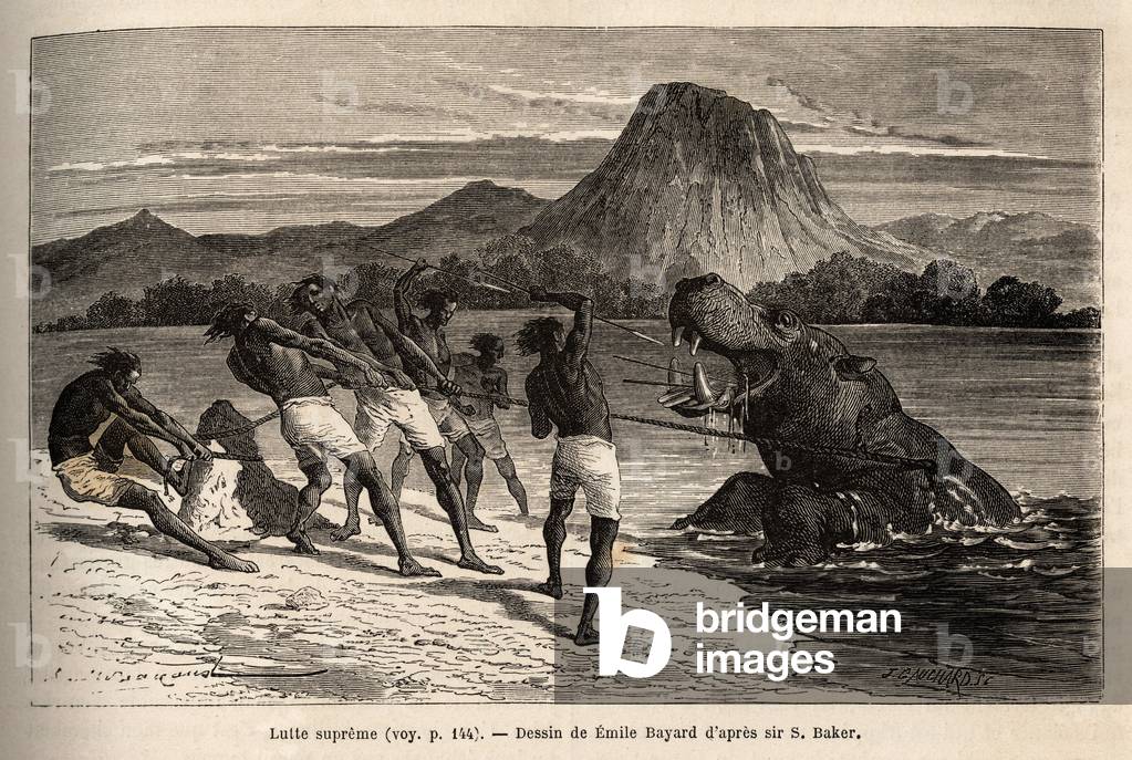 Hippo hunting with the Houarti tribe, with harpoons and spears, the furious animal loads and resists. Engraving to illustrate the exploration of the Abyssinian tributaries of the Nile, by Sir Samuel W.Baker, in 1861-62, published in “” Le tour du monde”” 1870-1871, edited by Edouard Charton, Hachette edition, Paris. Selva Collection.