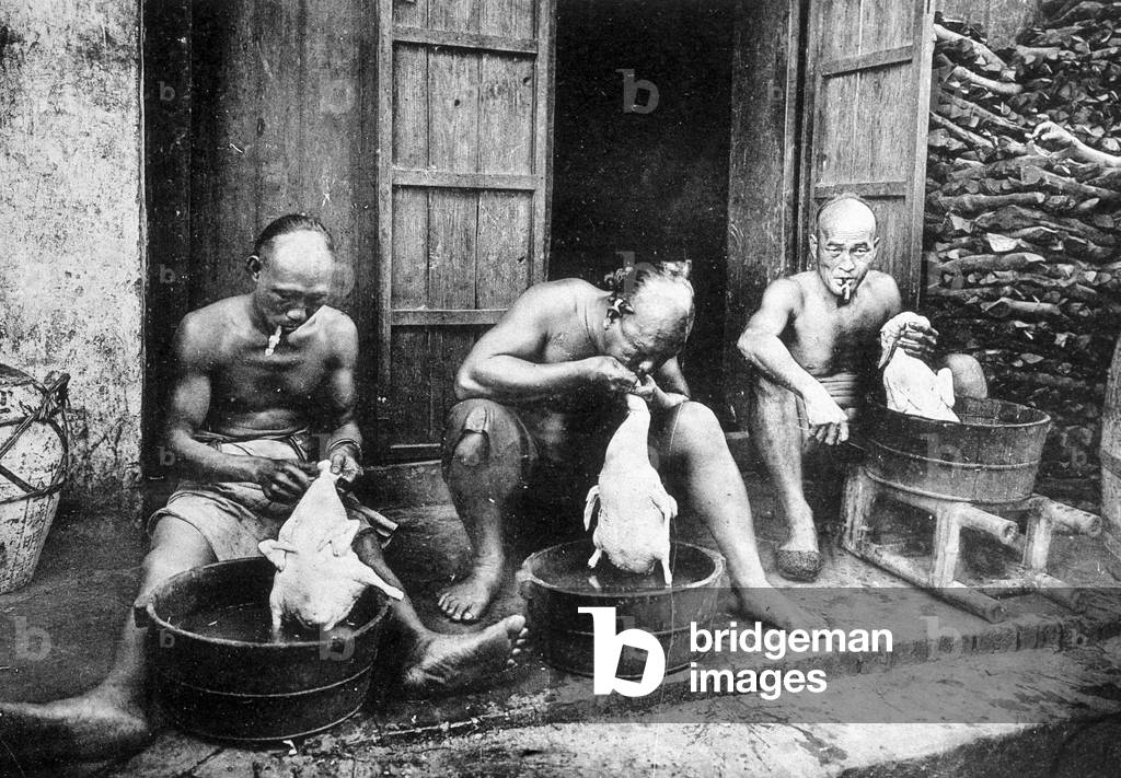 Chinese duck feathers, “” Saigon and its surroundings””, phot. Dieulefils, c. 1900.