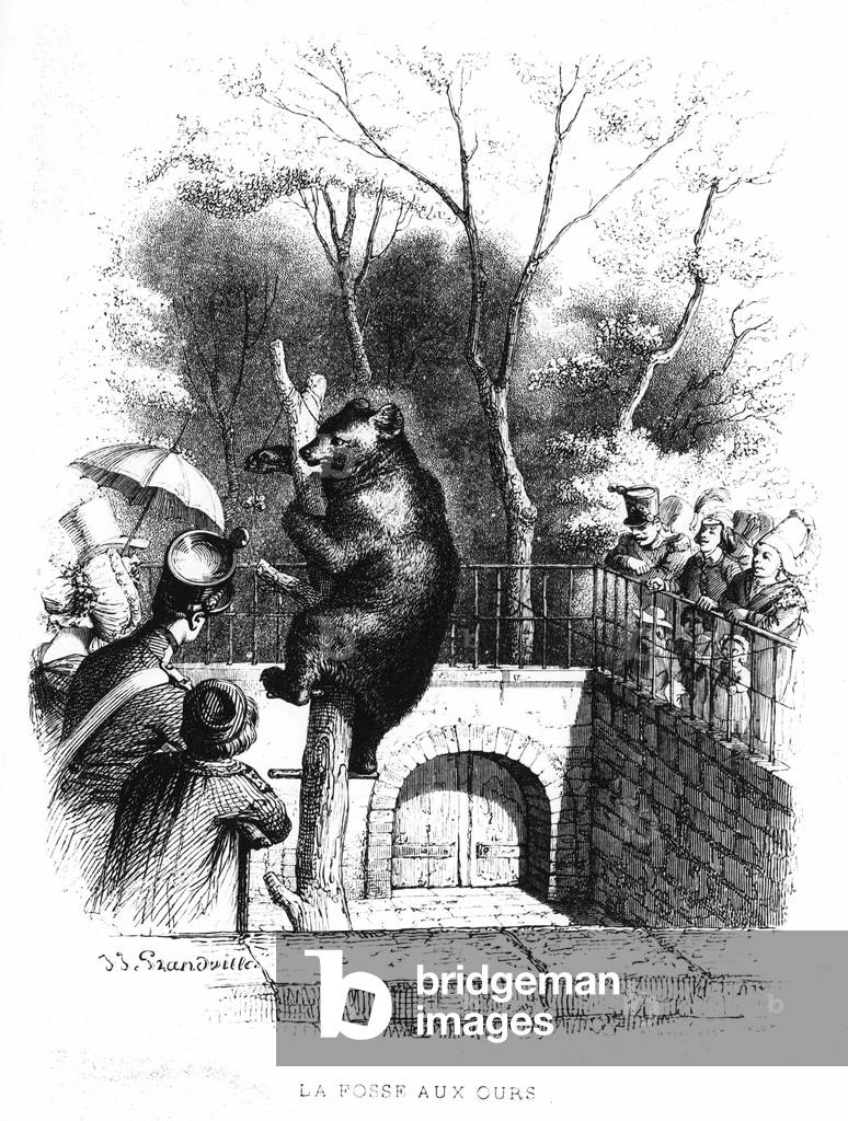 The bear pit of the garden of plants in Paris - engraving, 19th century.