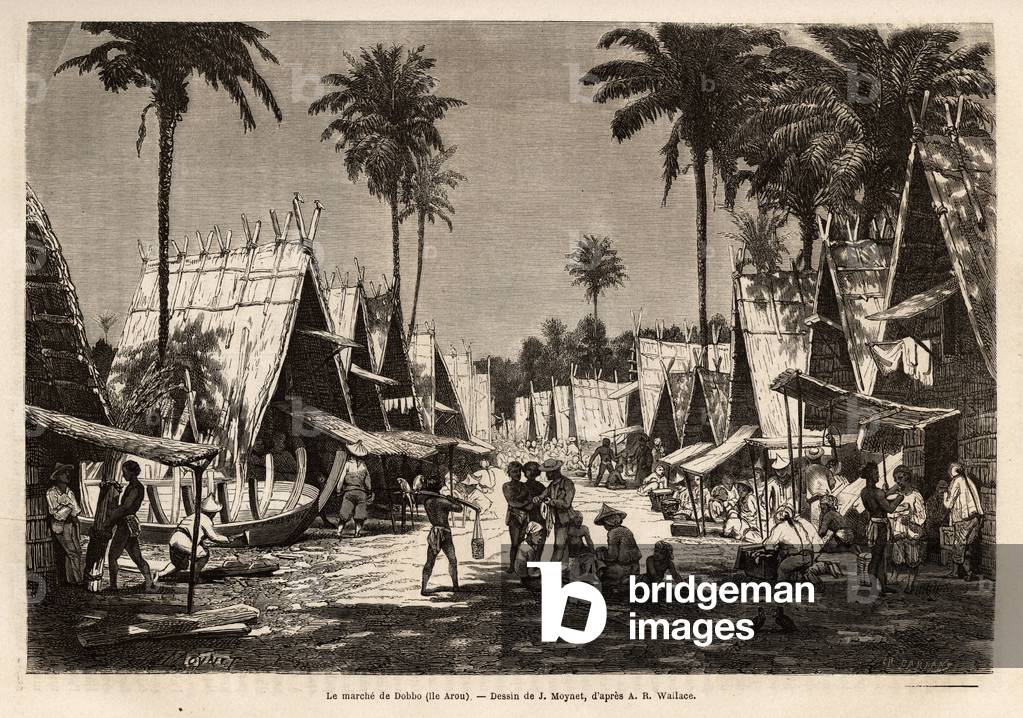 The march of Dobbo, on the Arou Island, a port centre, animated by many merchants and shipbuilding, engraved after the drawing by J.Moynet, illustrating the voyage to the Malaysian archipelago in 1854-1862, by Alfred Russell Wallace (1823-1913), a British naturalist, co-disouvreur de la theorie de l'evolution, published in “The tour du monde” 1873, Edited by Edouard Charton, edition Hachette, Paris. Selva Collection.