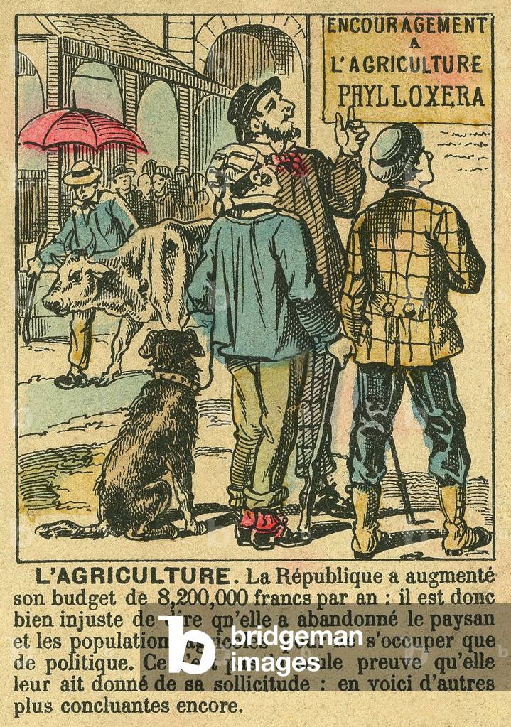 Agriculture illustrates the benefits of the Third Republic on agricultural investment and its concern for peasant populations. Engraving, in “” Le Figaro, supplement””, on 30/03/1889, Paris. Coll. Selva.
