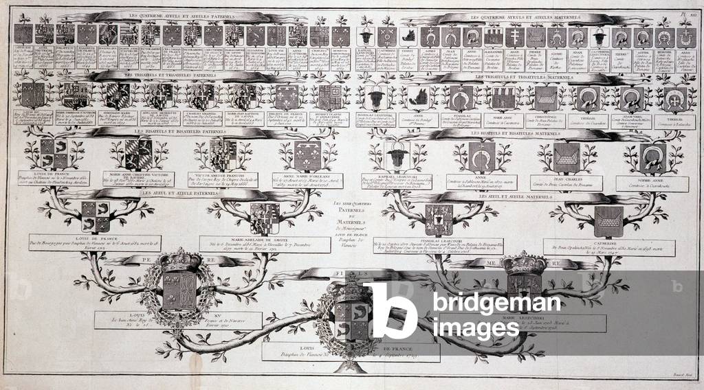 Family tree of the dolphin of France, son of Louis XV and Marie Leczcinski - in “” Encyclopedia”” by Diderot, 18th century