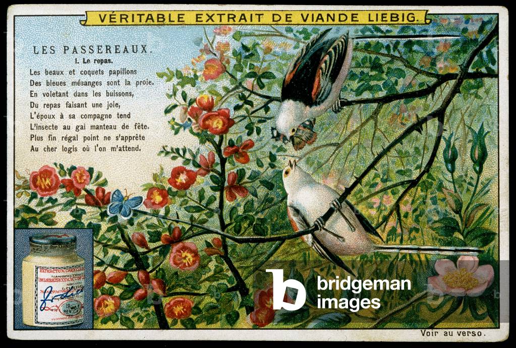 Couple of chickadels - chromo. Liebig, c. 1900