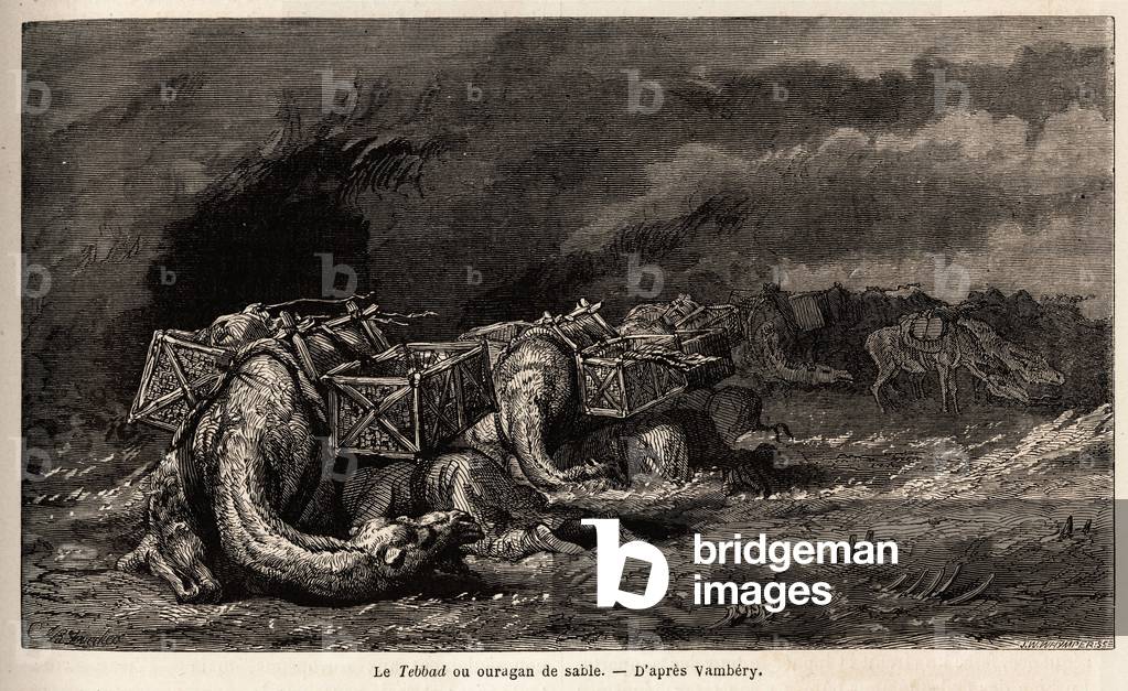 The camel caravan caught in a sand hurricane calls tebbad. Drawing by Emile Bayard (1837-1891), to illustrate the journey to Central Asia, in 1863, by Arminius Vambery (Hungarian scientist disguise in dervish). Engraving in “” Le tour du monde””, edited by Edouard Charton, 1865. Selva's collection.