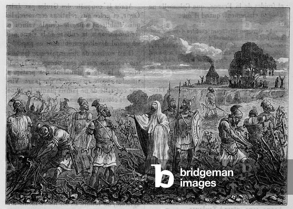 The vines uprooted in the Gauls, by order of Emperor Domitian - in “” The wonders of industry”” by Louis Figuier, Paris, 19th century