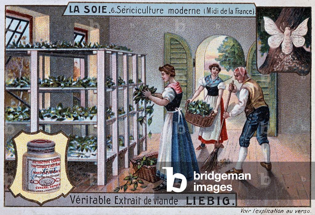 Silk: silk workshop in the south of France, Liebig publicity, v. 1895