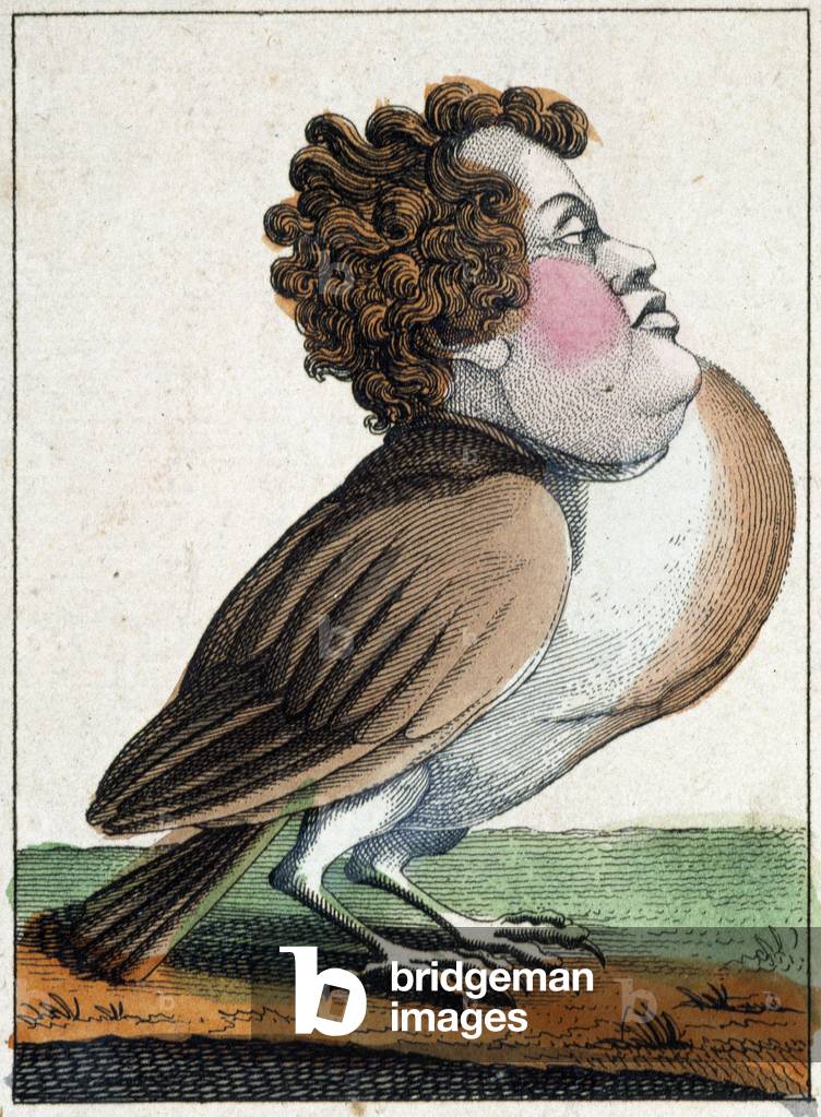 The pigeon in Caricature, study of character “volatile character” sd. 19th, popular imagery.