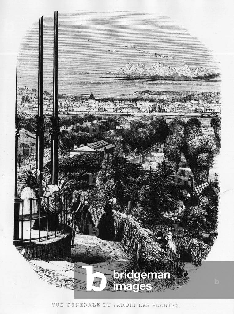General view of the garden of plants in Paris - engraving, 19th century.