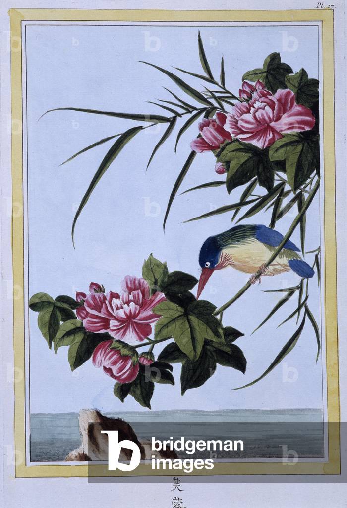 Kingfisher - Japanese print