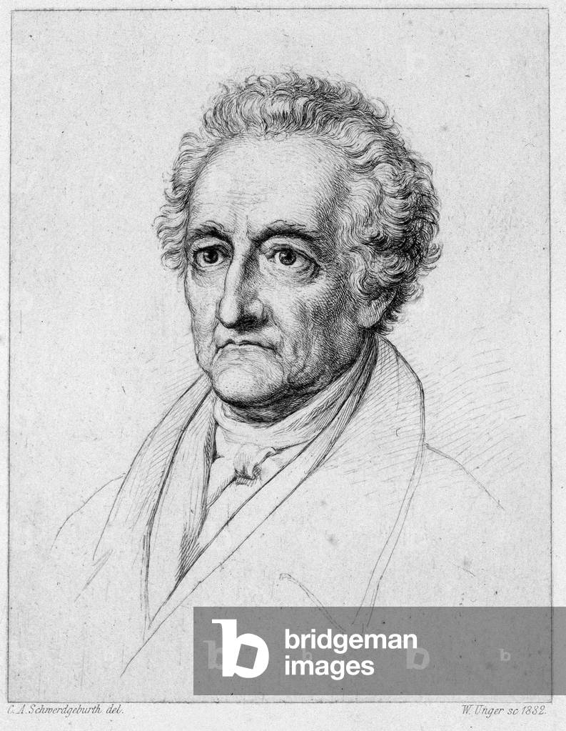 Portrait of Goethe. 19th century chromolithography.