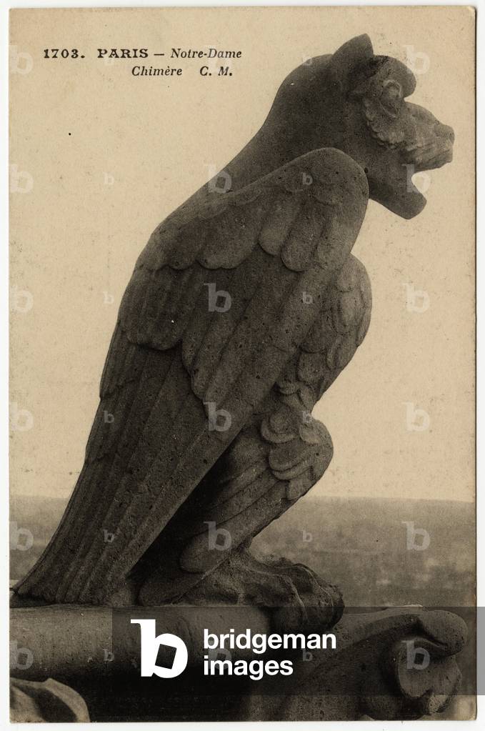 Gargoyle or chimere of the cathedrale Notre Dame de Paris, built between 1163 and the 14th century - Postcard, Selva collection