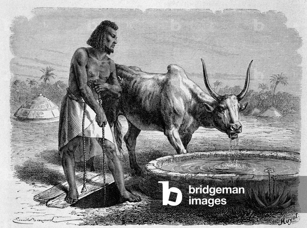 Samarian drawing water, “Round the World”, 1st semester 1867.