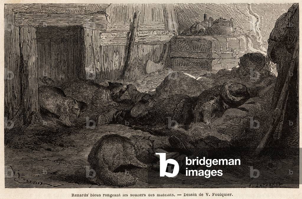 Blue foxes gnawing the shoes of seamen asleep in the refuge of the observation station, drawing by V.Foulquier, to illustrate the Spitzberg, 1838-1839, by Charles Martins. Engraving in “” Le tour du monde””, edited by Edouard Charton, 1865. Selva's collection.
