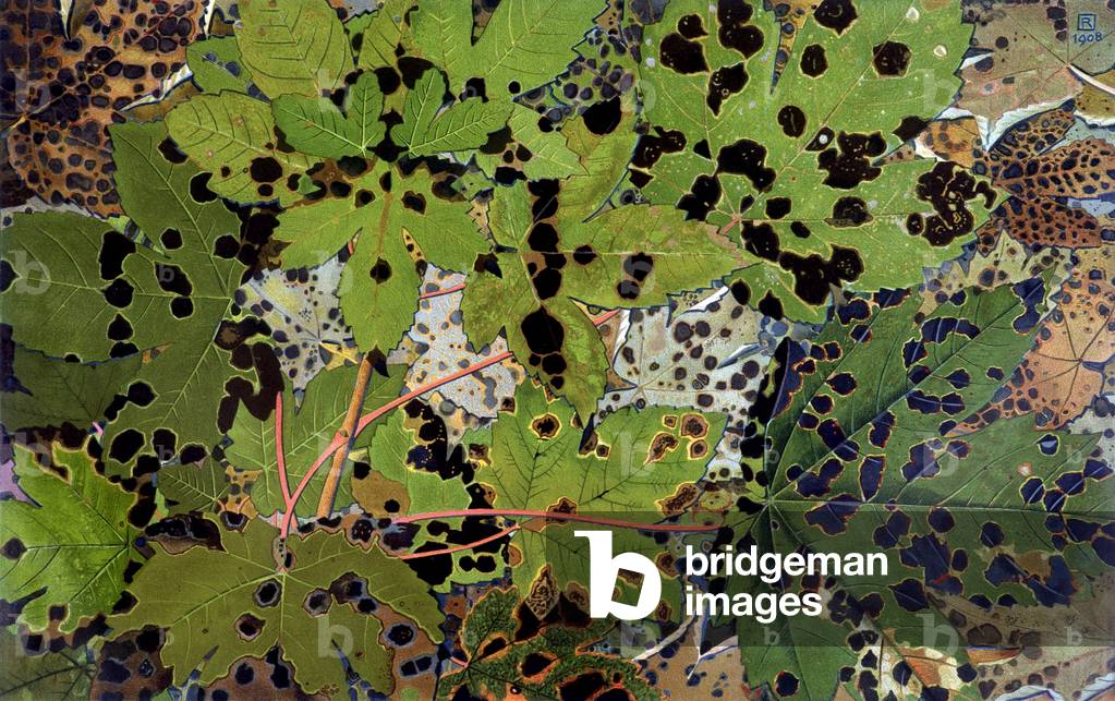 Feuilles d'Automne, by Philippe Robert, editions Robert Ried, 1908.