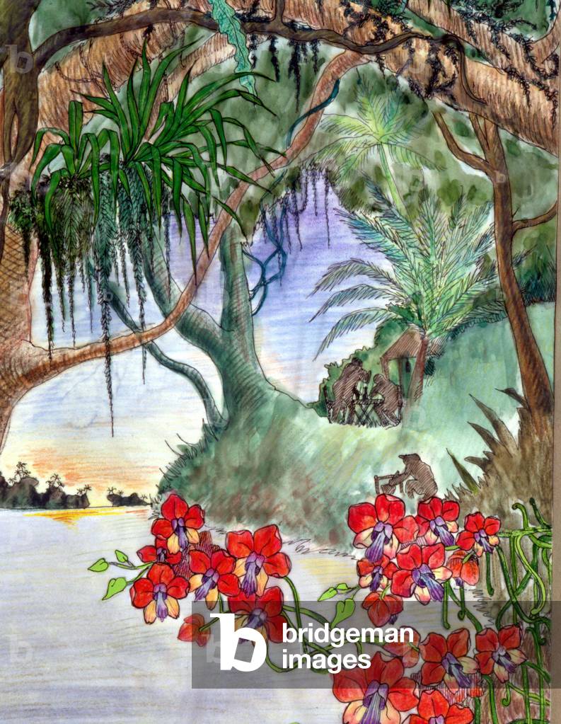 Shed in the tropical jungle (print)