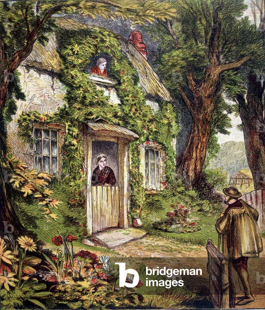 Story of a small bird