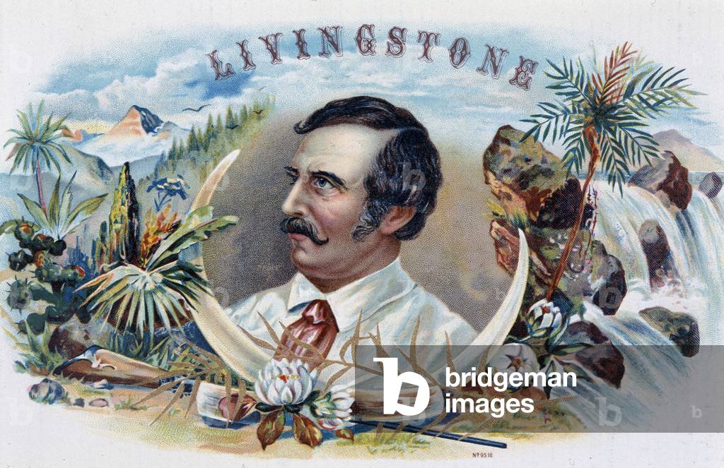 Portrait of Livingstone - Cigar Box Label