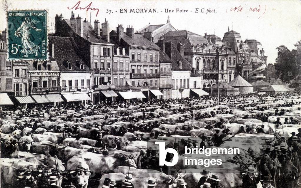 Livestock Fair in Autun - postcard, 1910