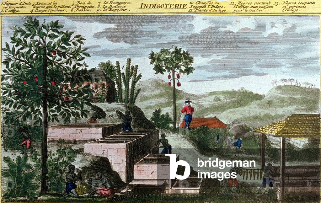 Indigoterie in the West Indies, detail of 00155 - in “” General History of the Antilles Inhabited by the French by Du Tertre””, early 19th century