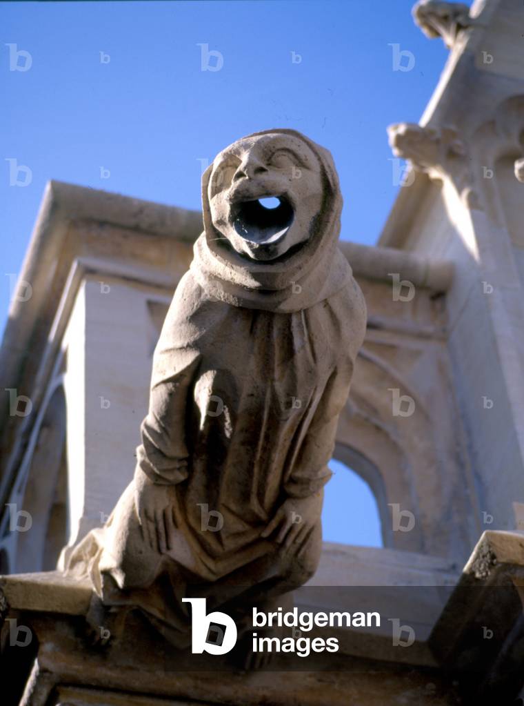 Gargoyle of the Cathedral of Amiens (Somme)
