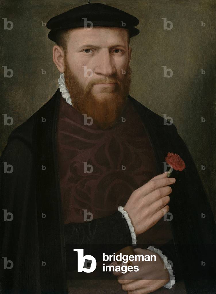 Portrait of a Man with his Right Hand Holding a Red Carnation and in his Left a Glove, 1540-51 (oil on panel)