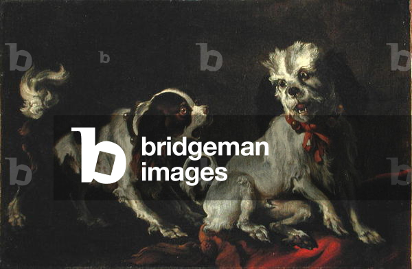 Dogs at Play (oil on canvas) (see 204489)