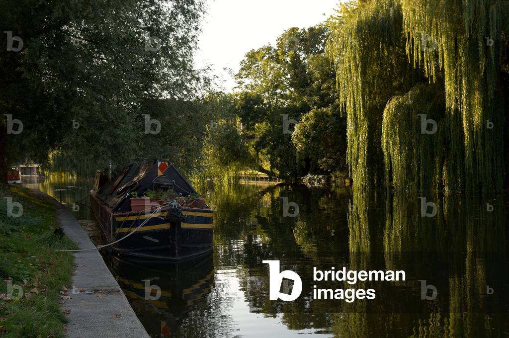 River Cam at Jesus Green