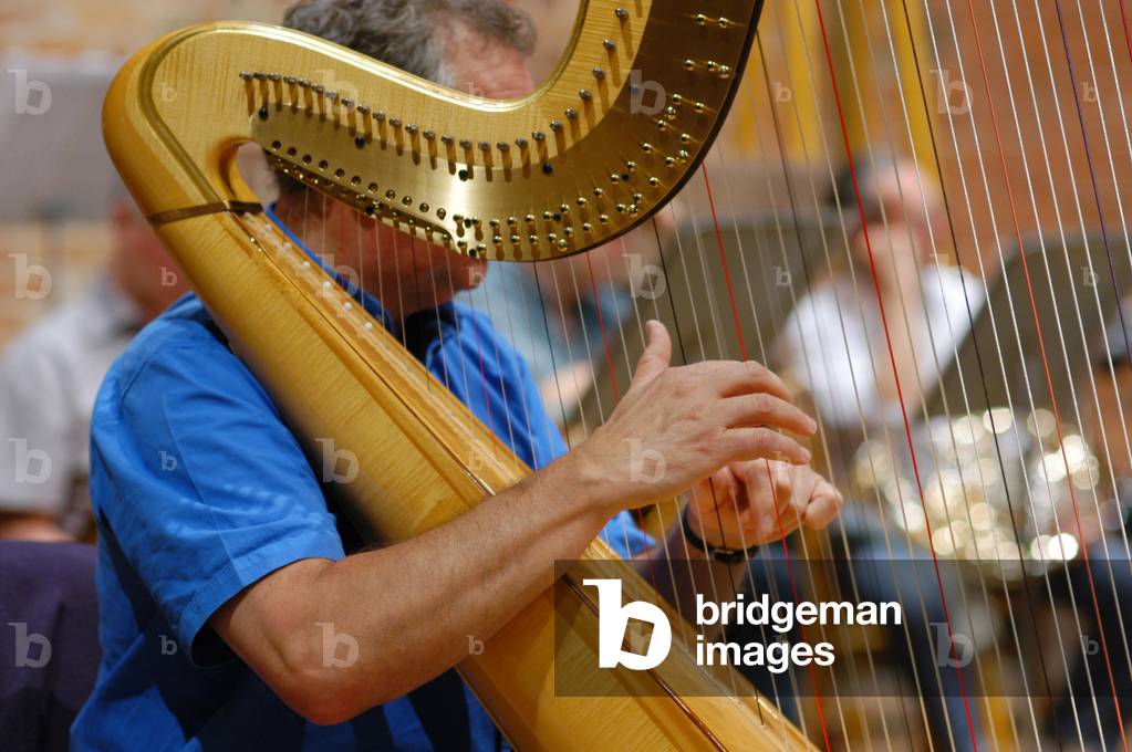 Harp and harpist City