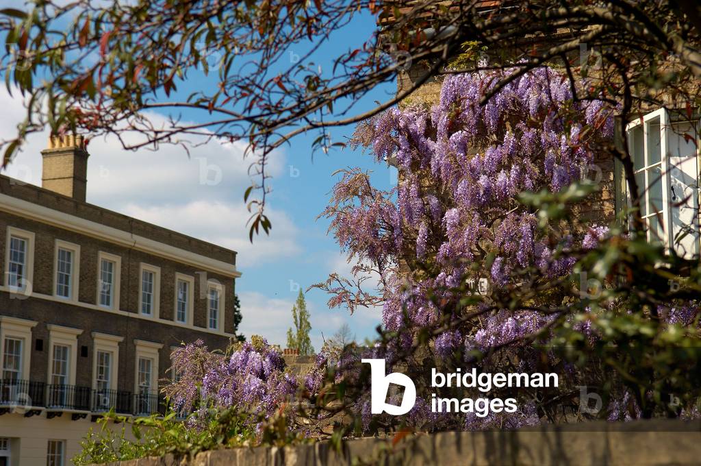 Jesus College